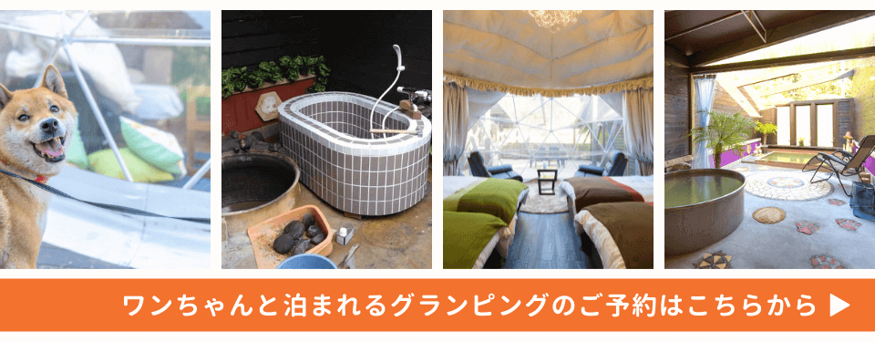ワンちゃんと泊まれるグランピングの予約はこちらから